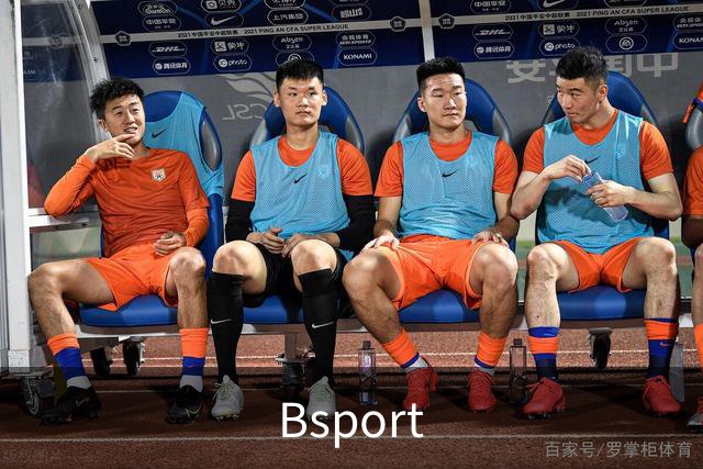 Bsport公司介绍图片